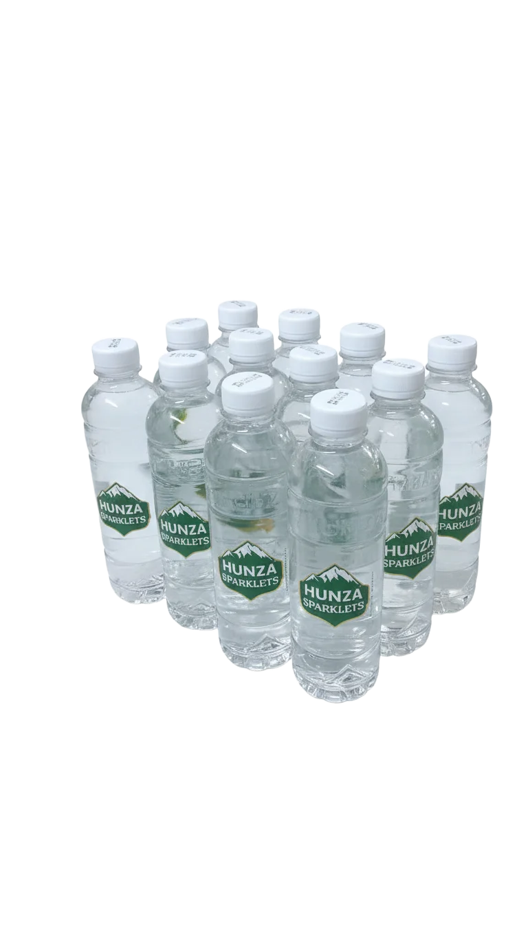 Water Bottle — 500ml